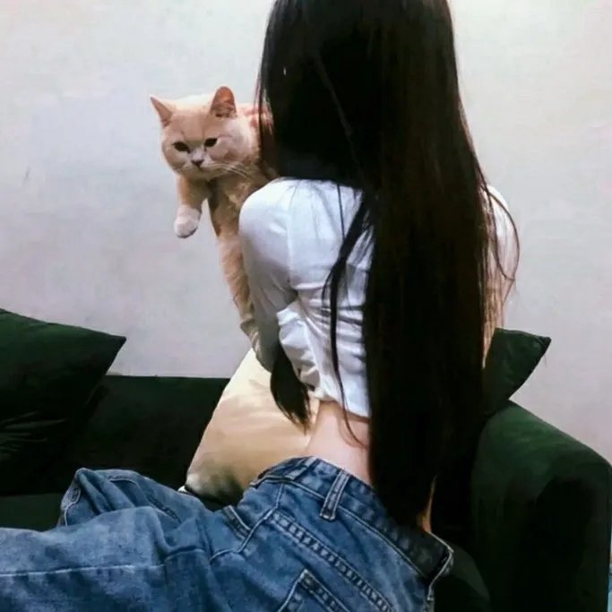 律政女杰莉迪亚第二季