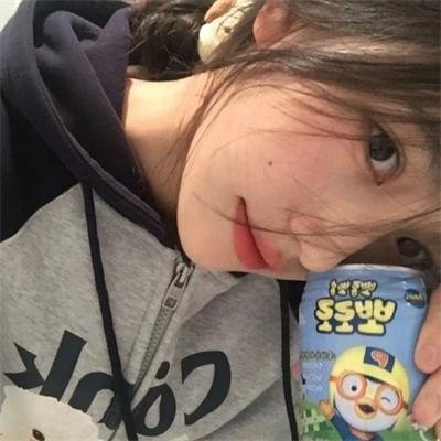 熊族之旅